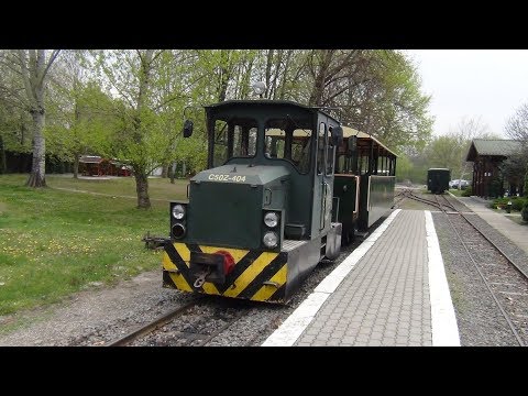 C50Z-404 a Gemenci Állami Erdei Vasúton