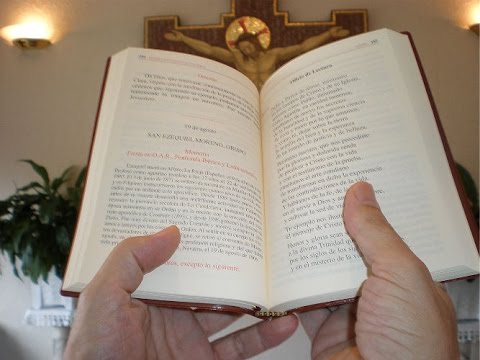 Evangelio y homilía 12 de diciembre de 2014