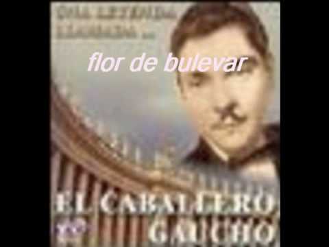 flor de bulevar