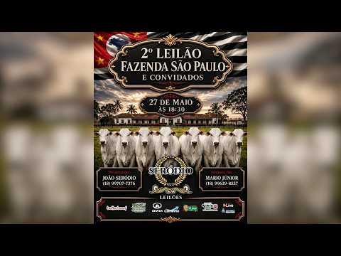 2º LEILÃO FAZ. SÃO PAULO E CONVIDADOS | 27/05/26 - 18H30 - REBANHO 100% Pesado no recinto