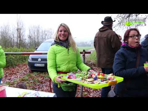 Spendenlauf Hundeschule Jacobs 2017