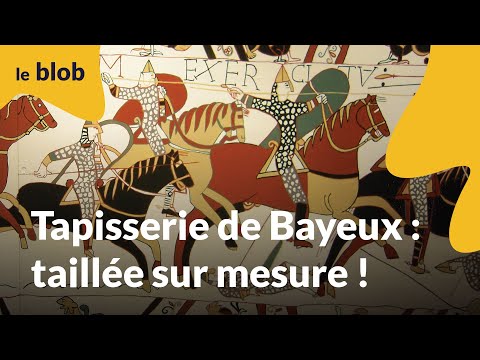 Tapisserie de Bayeux : taillée sur mesure | Actu de science