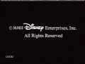 Evolution Disney Enterprises Inc 2002