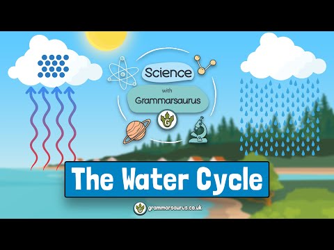 Science with Grammarsaurus - The Water Cycle