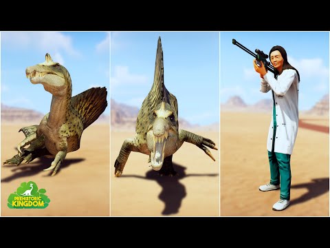 ALL DINOSAURS, REPTILES, & MAMMALS ARE PUT TO SLEEP IN PREHISTORIC KINGDOM