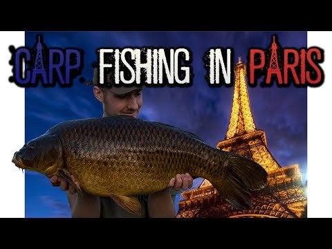 URBAN CARP FISHING in PARIS!