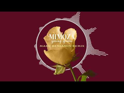 Louis Le Bonheur & Mimoza - Young Queen (Marc Benjamin Remix / Visualizer)