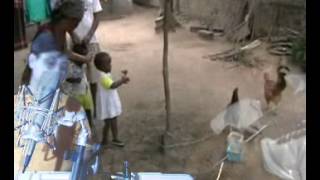 Un posto sulla strada cover Pooh ,,base e voce luigi e