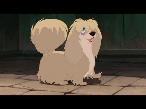 A Dama E O Vagabundo - Infiel - Disney