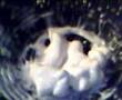cornstarch lifeform 80Hz