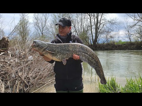 Hooked On Zapadna Morava - Som , Elpi Lures