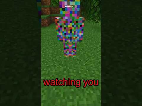 The WORST Error 422 Glitches in Minecraft History