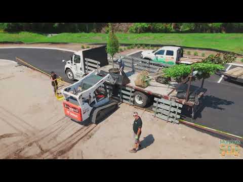 Murphy's Sod, filmed by ApeShot Productions