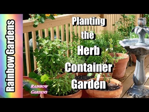 How I Plant the Herb Containers for the Season, Potting Mix, Dividing, More Video