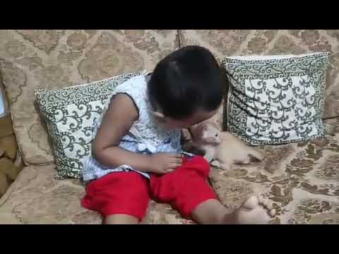 My daughter Unaisah | Playing with Cat | MashaAllah | How Brave | Comilla | Bangladesh