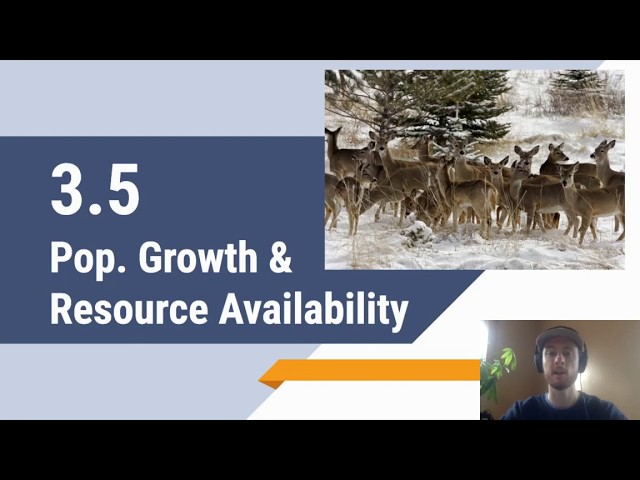 Understanding Population Growth and Resource Availability | Magica