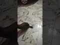 Gasforing