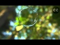 Adam Snow - Meghan's Theme 