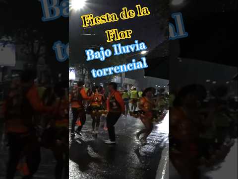 Fiesta Nacional de la Flor. Desfile bajo la lluvia. Escobar#argentina #buenosaires #fiestas #flores