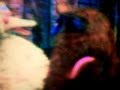 Sesame Street Home Videos Big Bird Sings Part 2