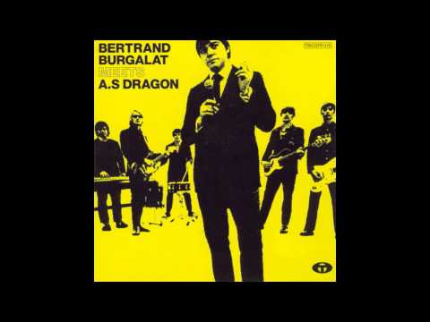 Bertrand Burgalat - A.S Dragon