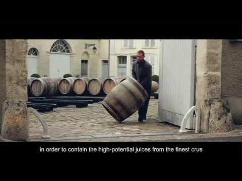 BOLLINGER B13 - Blanc de Noirs 2013 in Cutie video