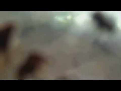 GNCC Round 9 Snowshoe 10am Race 2014 June 21 Americas Toughest Race One Full Lap