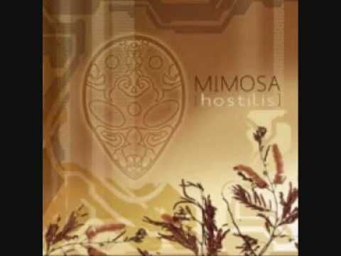 Mimosa - Kinetic