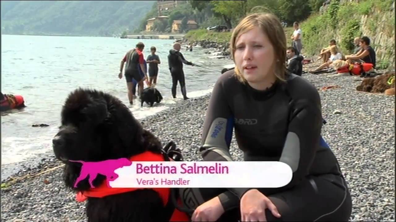 Extraordinary Dogs Episode 1 PROMO Trailer