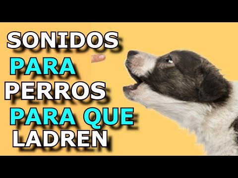 Sonido de Perro, 🐶 🐶 Los mejores LADRIDOS DE PERROS 🐶