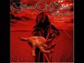 Children of Bodom - In The Shadows 