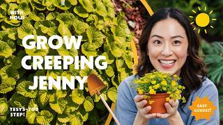 How to Grow Creeping Jenny: Easy Step-by-Step Beginner's Guide