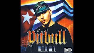 Pitbull - Dammit Man (Feat. Piccallo)