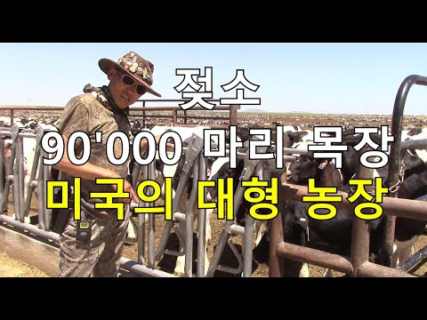 아이콘