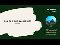 Black Pagoda Diaries Konark Odisha 2019