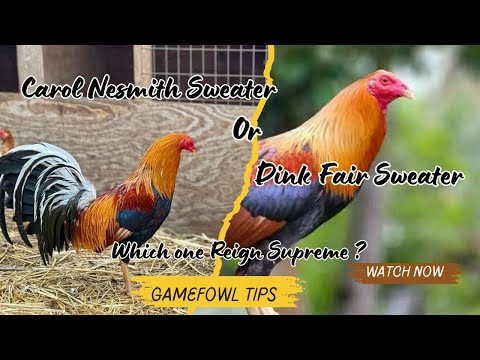 Carol Nesmith Sweater or Dink Fair Sweater – Which Bloodline Reigns Supreme?