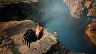 Achilles: Survivor - Launch Trailer