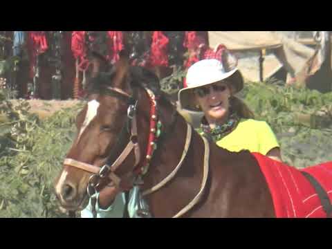 Video De Cavalo : Foreign Tourist Riding Horse , Rajasthan Tourism, Horse Video घोड़ा विडियो