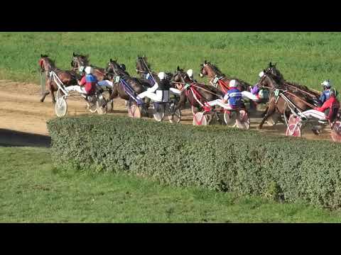 Trka "Knez Mihailo" 06.09.2020 Amy del Duomo - Vladimir Pribić