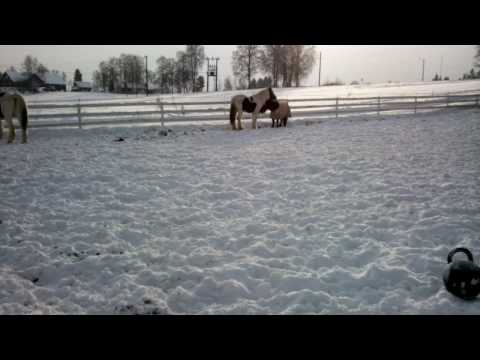 Rocker`n ikke tøffere enn toget