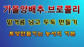[텃밭농부 2,026]  가을양배추. 브로콜리 밑거름 넣고 두둑 만들기 #양배추재배 #브로콜리재배