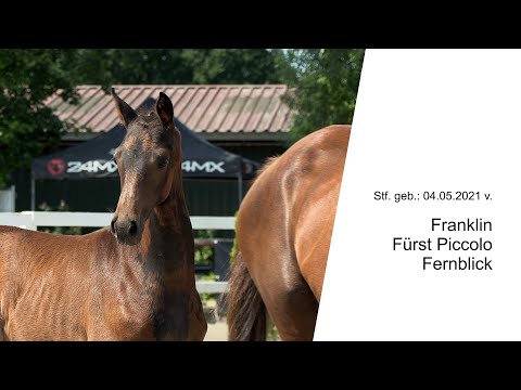 Stf v Franklin x Fuerst Piccolo x Fernblick 2021