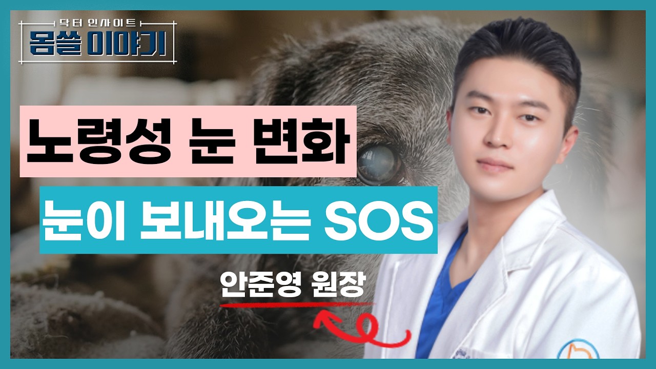 반려동물이 눈을 찡그린다면?…노령견이 보내오는 SOS 신호 [몸쓸이야기 15회]