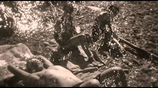 HOOPDREAMS - Dark Summer