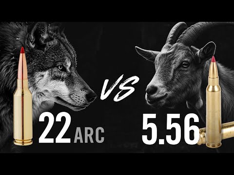 RISE ARMAMENT Watchman Rifle Overview