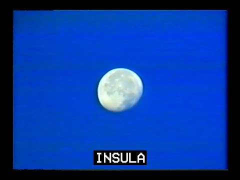 Video thumbnail for insula
