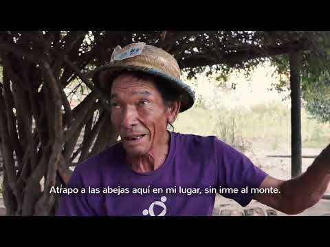 Káva Rape - Asociación Eirete Pantanal (Material Completo)