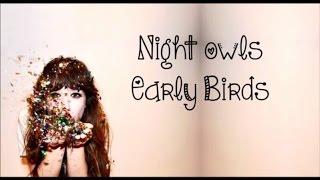 Foxes - Night Owls Early Birds (Lyrics Video)