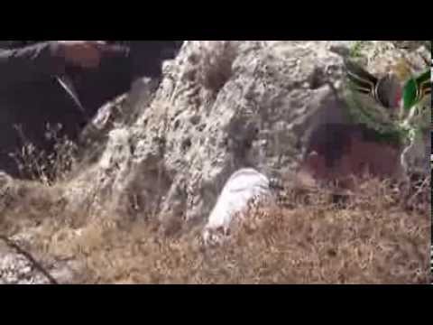 عملية قنص عناصر النظام على جبهة جبل الأربعين في أريحا في ريف إدلب