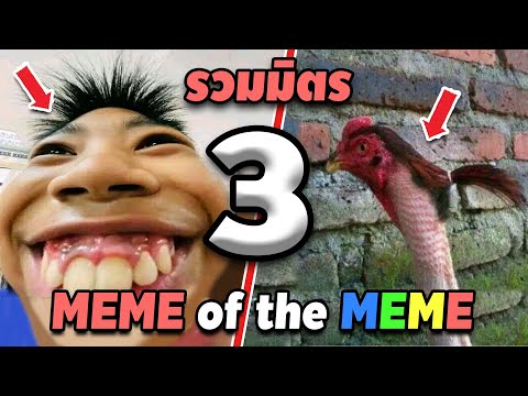 รวมมิตร ภาพนี้ก็ฮาเหมือนกันนะเนี้ย #3 SS2 [ พากย์นรก MEME.EXE ] | easy boy